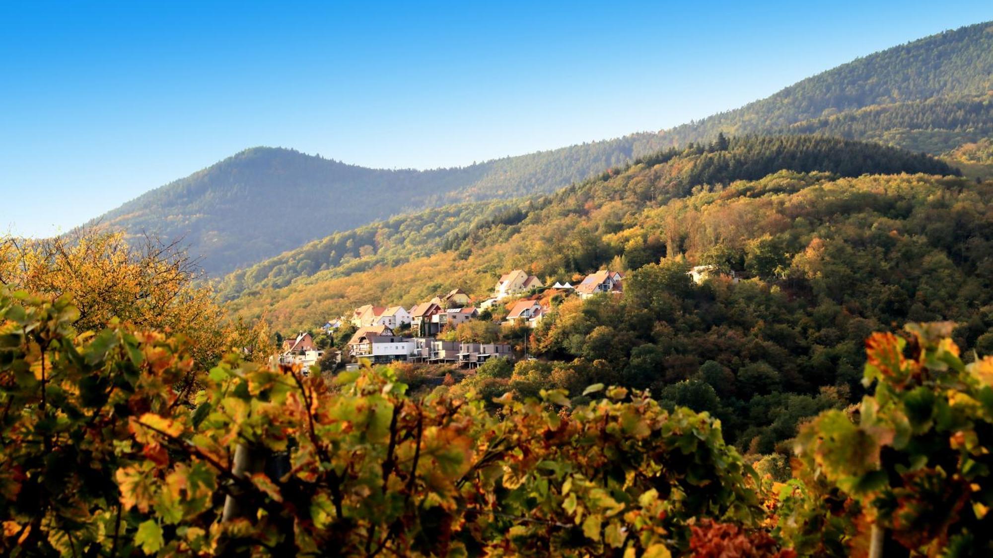 הוילה בר Alsace Panorama מראה חיצוני תמונה
